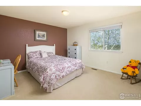 4872 Haystack Dr, Windsor, CO 80550 photo 24