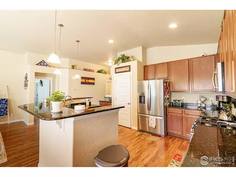 1789 Valley Brook Ln, Severance, CO 80550 photo 8