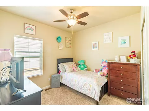 1789 Valley Brook Ln, Severance, CO 80550 photo 21