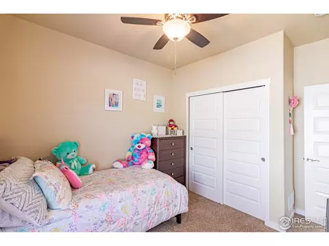 1789 Valley Brook Ln, Severance, CO 80550 photo 22