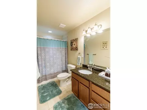 1789 Valley Brook Ln, Severance, CO 80550 photo 28
