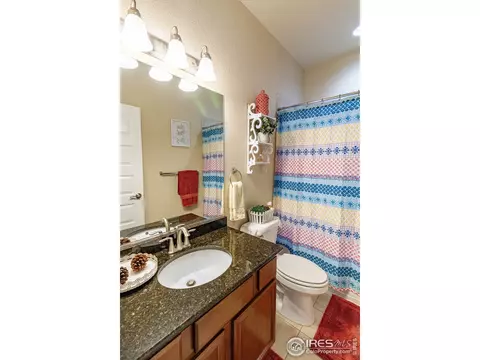 1789 Valley Brook Ln, Severance, CO 80550 photo 20