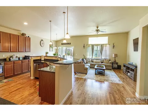 1789 Valley Brook Ln, Severance, CO 80550 photo 4