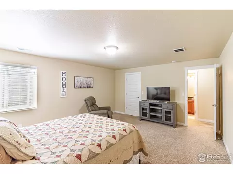1789 Valley Brook Ln, Severance, CO 80550 photo 27