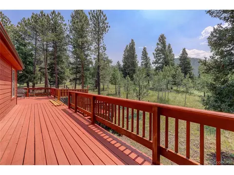 498 Aspen Ln, Bailey, CO 80421 photo 6