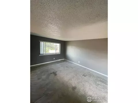 609 5th St, Pierce, CO 80650 photo 6
