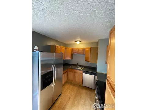 609 5th St, Pierce, CO 80650 photo 8