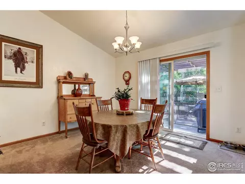 1007 Meadow Ct, Windsor, CO 80550 photo 5