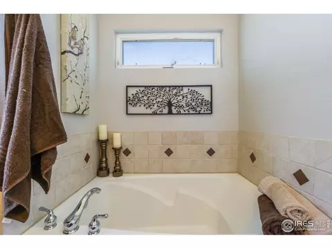 1307 Cliffrose Ct, Severance, CO 80550 photo 17