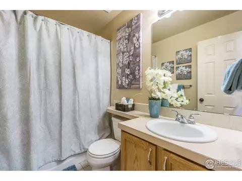 1307 Cliffrose Ct, Severance, CO 80550 photo 24