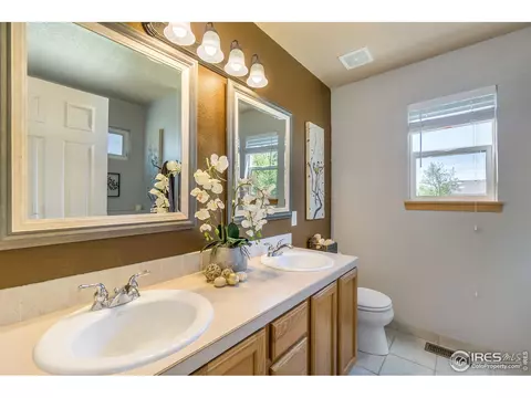 1307 Cliffrose Ct, Severance, CO 80550 photo 15