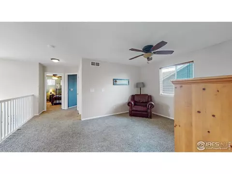 5641 Claret St, Timnath, CO 80547 photo 19