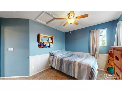 5641 Claret St, Timnath, CO 80547 photo 22