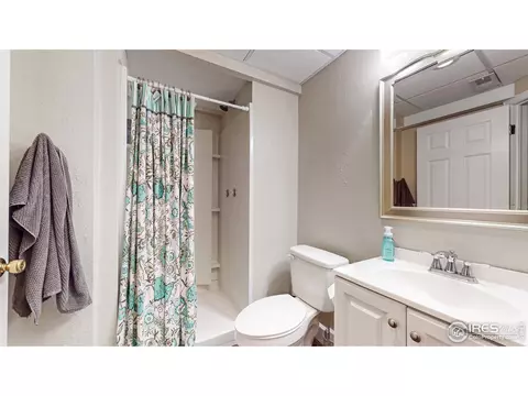 5641 Claret St, Timnath, CO 80547 photo 29