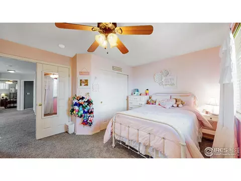 5641 Claret St, Timnath, CO 80547 photo 21