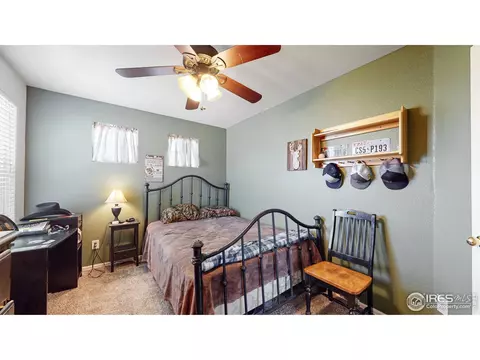 5641 Claret St, Timnath, CO 80547 photo 24