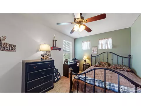 5641 Claret St, Timnath, CO 80547 photo 23