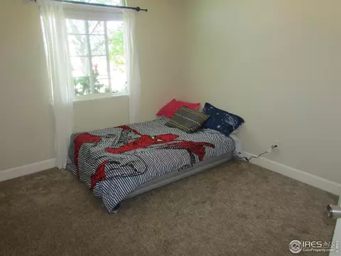 310 Granite Ct, Windsor, CO 80550 photo 16