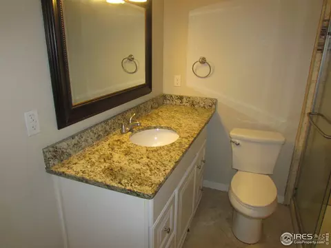 310 Granite Ct, Windsor, CO 80550 photo 20
