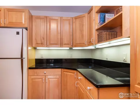 203 Pine Brook Rd, Boulder, CO 80304 photo 15