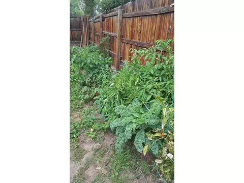 2858 E Peakview Cir, Centennial, CO 80121 photo 29