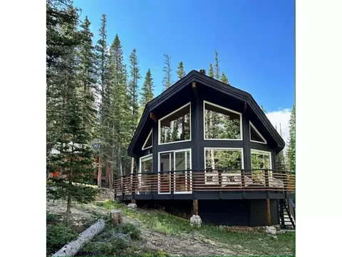 741 Prunes Pl, Fairplay, CO 80440
