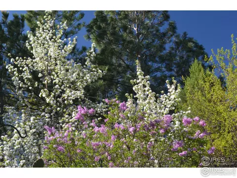 4500 Squires Cir, Boulder, CO 80305 photo 28