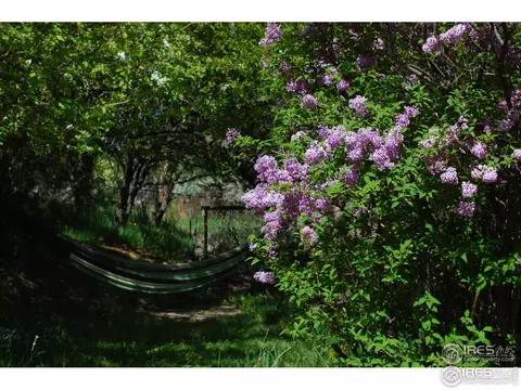 4500 Squires Cir, Boulder, CO 80305 photo 27