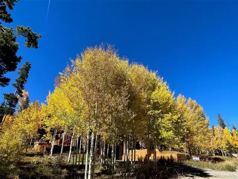 151 Thimbleberry Way, Silverthorne, CO 80498 photo 8