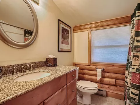 151 Thimbleberry Way, Silverthorne, CO 80498 photo 26