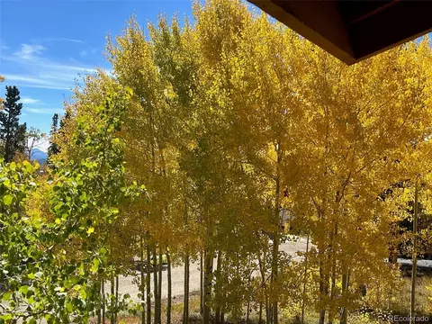151 Thimbleberry Way, Silverthorne, CO 80498 photo 5