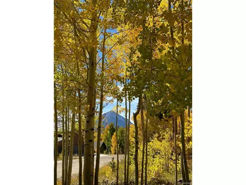 151 Thimbleberry Way, Silverthorne, CO 80498 photo 9