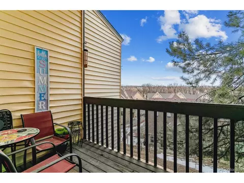 320 Raspberry Ln, Monument, CO 80132 photo 14