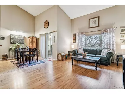 320 Raspberry Ln, Monument, CO 80132 photo 11