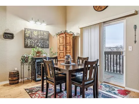320 Raspberry Ln, Monument, CO 80132 photo 12