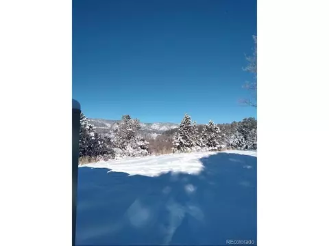 320 Raspberry Ln, Monument, CO 80132 photo 31