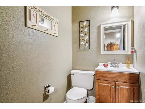 320 Raspberry Ln, Monument, CO 80132 photo 24