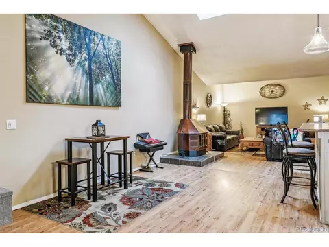 320 Raspberry Ln, Monument, CO 80132 photo 15