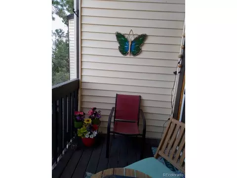 320 Raspberry Ln, Monument, CO 80132 photo 30