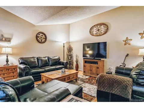 320 Raspberry Ln, Monument, CO 80132 photo 5