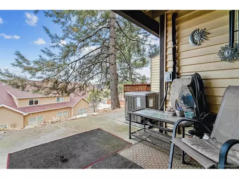 320 Raspberry Ln, Monument, CO 80132 photo 25