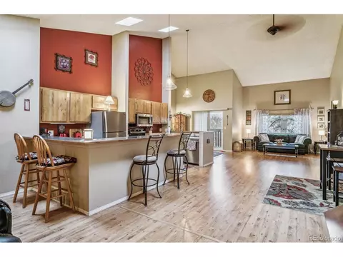 320 Raspberry Ln, Monument, CO 80132 photo 8