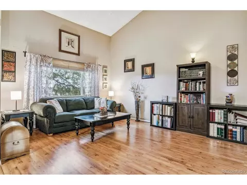 320 Raspberry Ln, Monument, CO 80132 photo 16