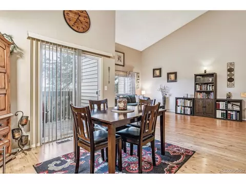 320 Raspberry Ln, Monument, CO 80132 photo 13