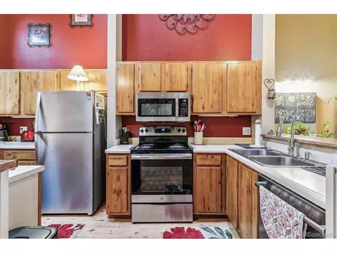 320 Raspberry Ln, Monument, CO 80132 photo 9