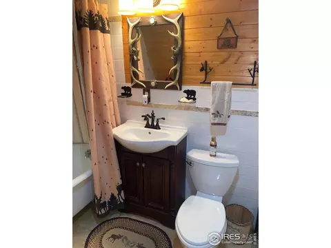 409 Riverside Dr, Lyons, CO 80540 photo 17
