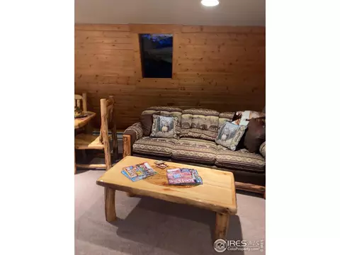 409 Riverside Dr, Lyons, CO 80540 photo 9