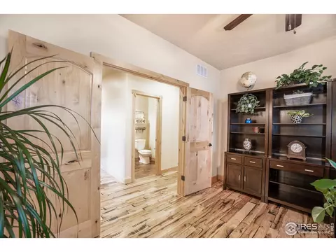 5735 Pineview Ct, Windsor, CO 80550 photo 13