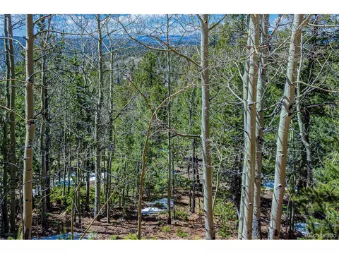 336 Witherite Dr, Divide, CO 80814 photo 1