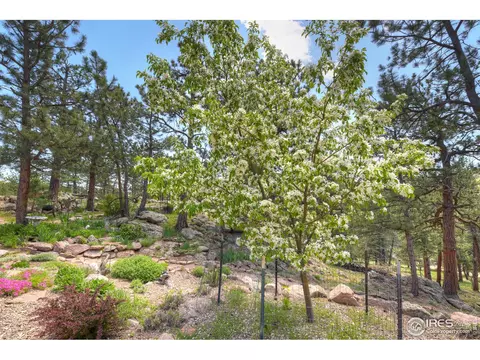 381 Wichita Rd, Lyons, CO 80540 photo 35